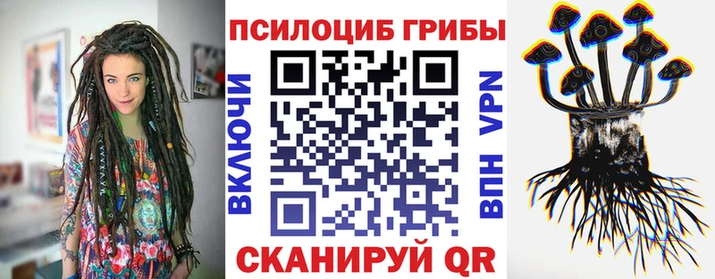 Псилоцибиновые грибы Psilocybine cubensis  ОМГ ОМГ как зайти  дарк нет клад  Йошкар-Ола 